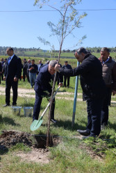 Son keçirilən tədbirlər